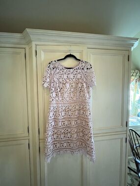 Lace A-Line Dress in Pale lilac with nude strapless slip.